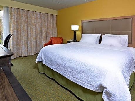 King Room - Hearing Access/Non-Smoking