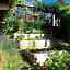Les Terrasses de Rochetaillée