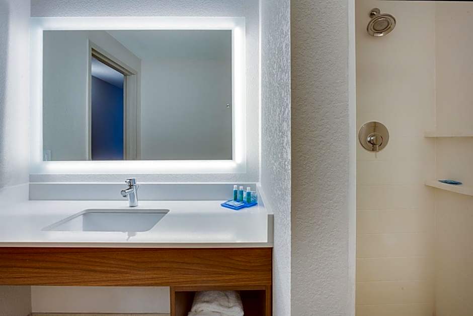 Holiday Inn Express Hotel & Suites Tampa-Fairgrounds-Casino By IHG