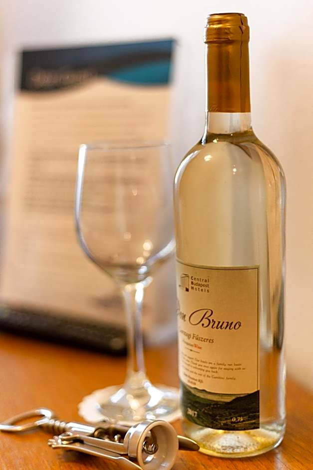 Budapest Panorama Central