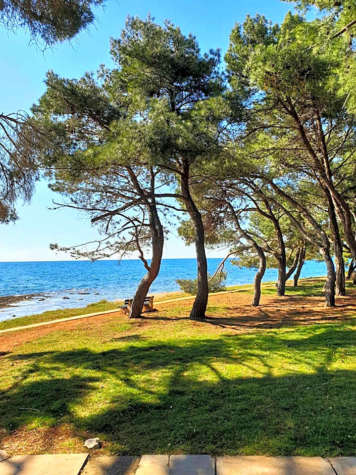 Family Bungalow Pineta