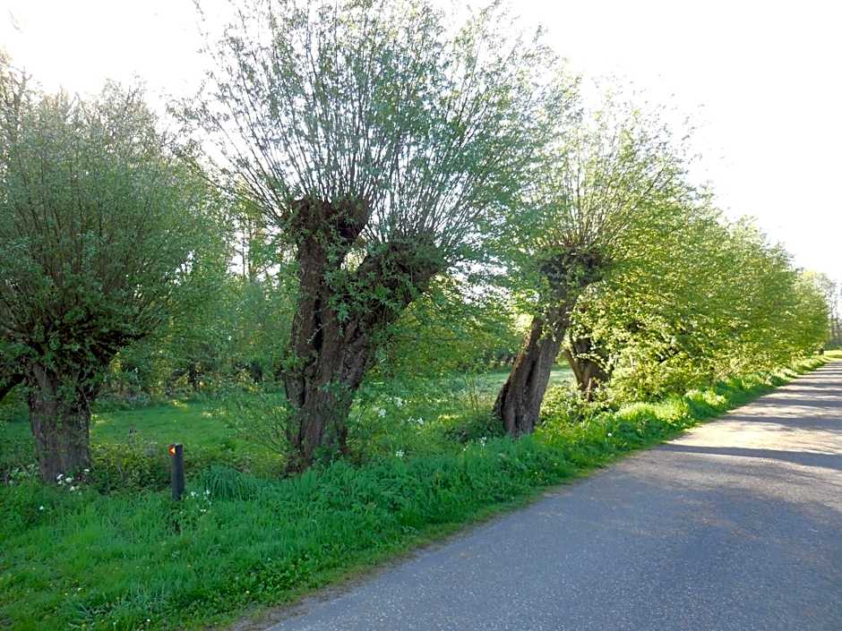 B & B " De 7 Sprong "