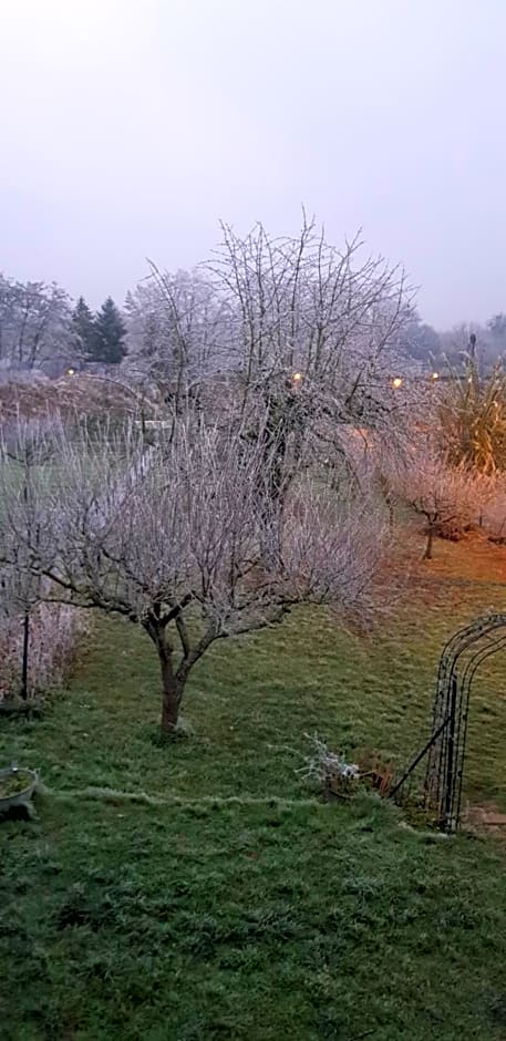 Maisonbleue67