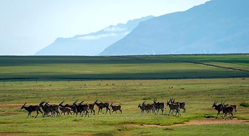 Bartholomeus Klip Farmhouse
