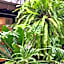 11th Street Bed and Breakfast