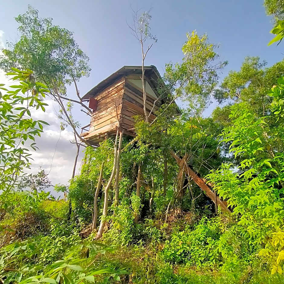 Rumah Pohon