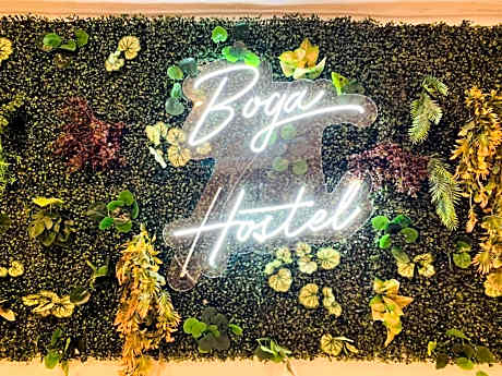 Bed in 4-Bed Mixed Dormitory Room