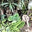 The Art Guesthouse