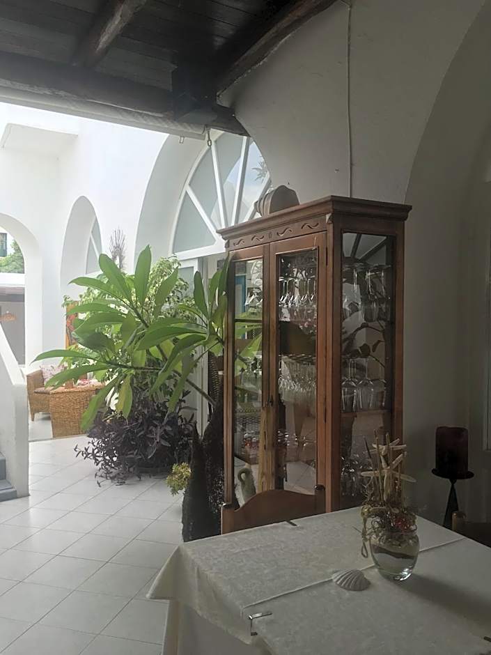 Hotel O Palmo