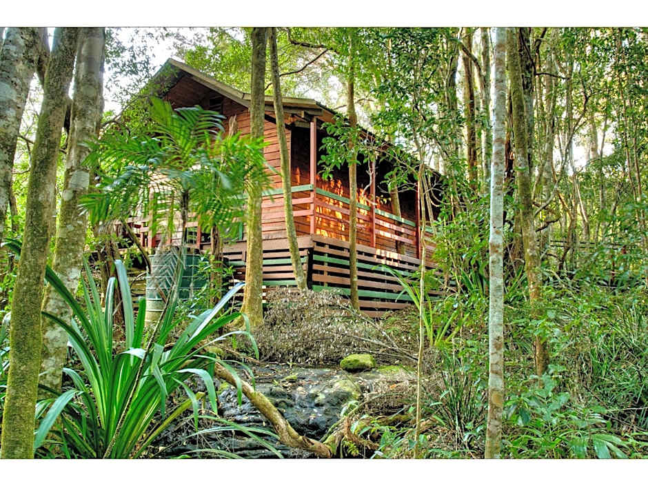 The Mouses House Rainforest Retreat