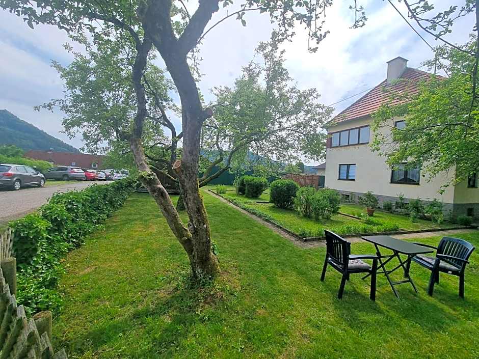 Pension DonauBlick Grein 1 , Spitzfeldstr 1