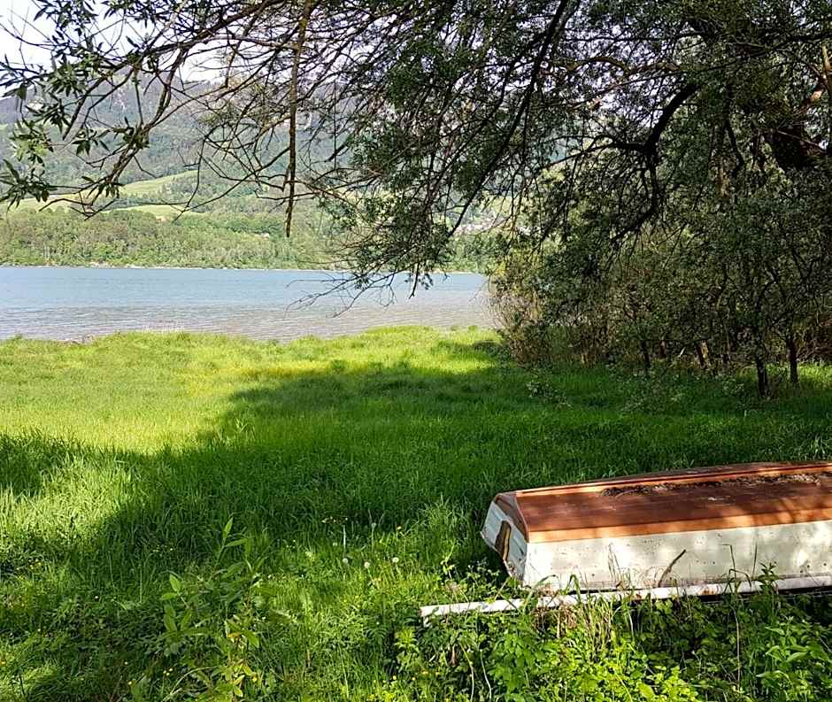 Hôtel Restaurant le Gruyérien