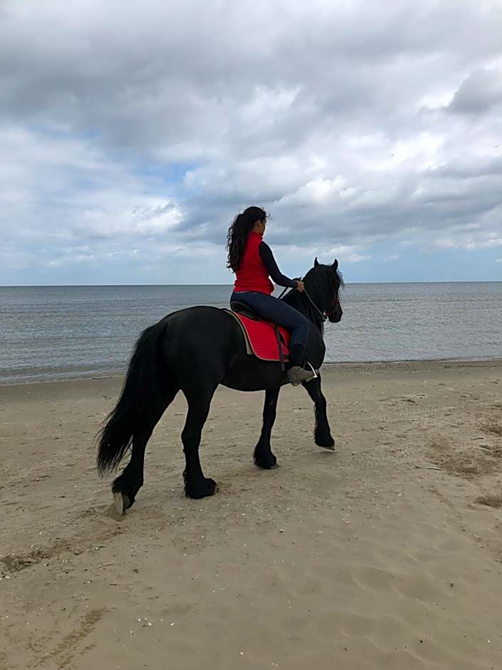 Feniks Agro&Spa Adults Only