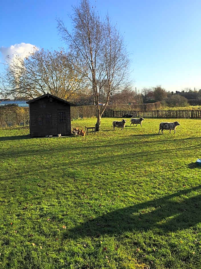 The Barn Bed and Breakfast