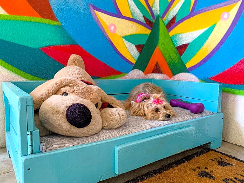 Puerto de Luna Pet Friendly and Family Suites