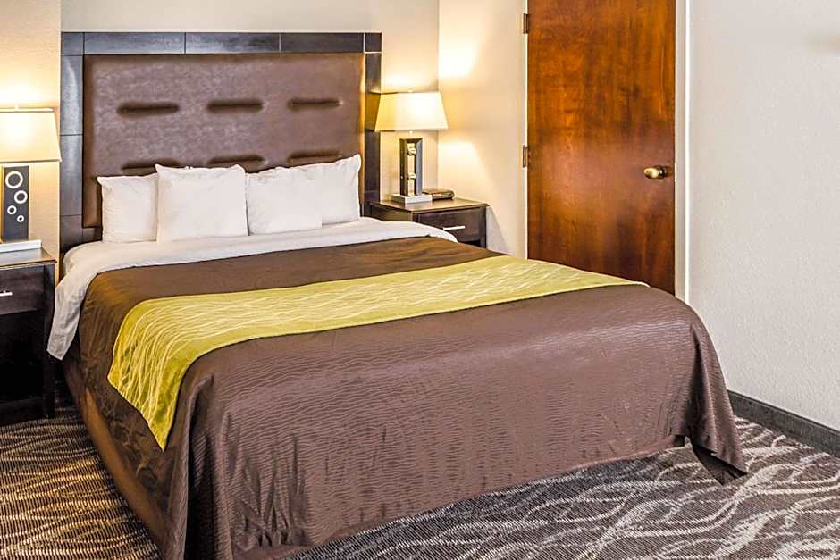 Comfort Inn Downtown Charleston
