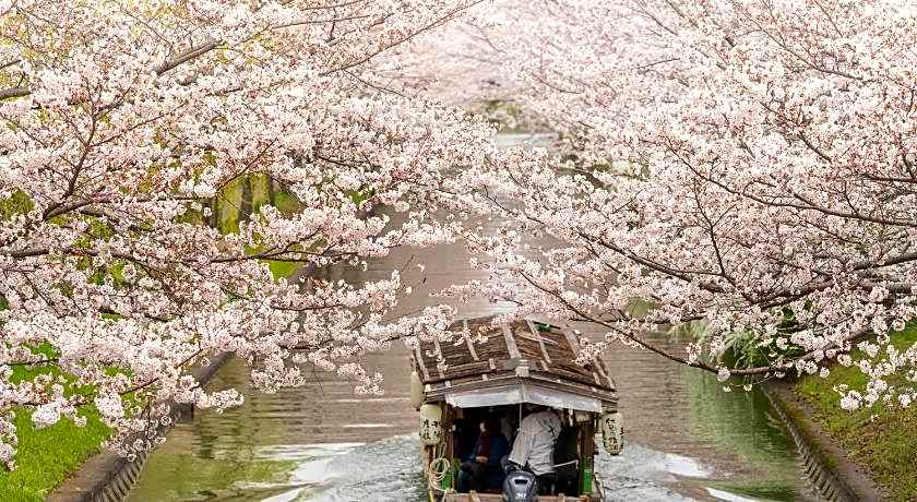 MIMARU Kyoto Shinmachi Sanjo