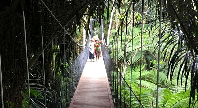 Alassari Plantation