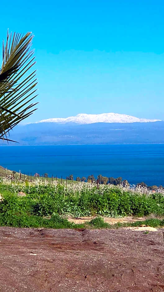Kinneret View
