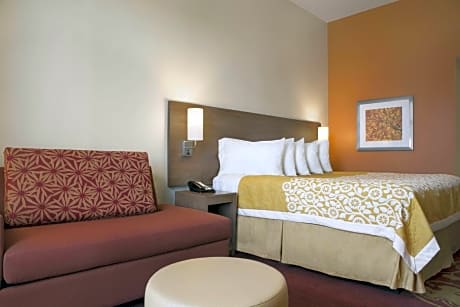 1 King Bed Non-Smoking