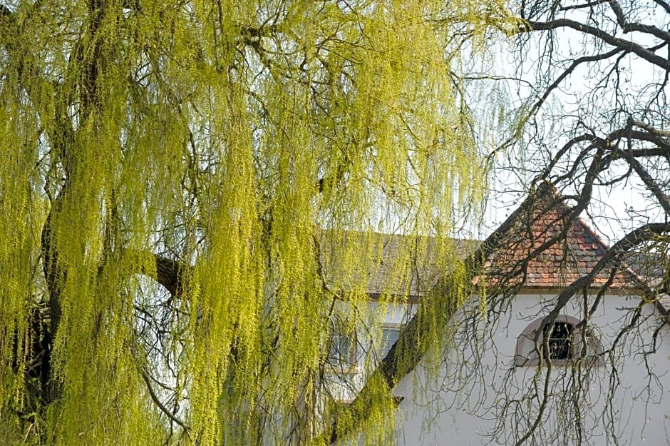 Zeiskamer Mühle