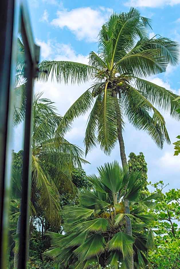 Zoi Retreat Hotel Zanzibar