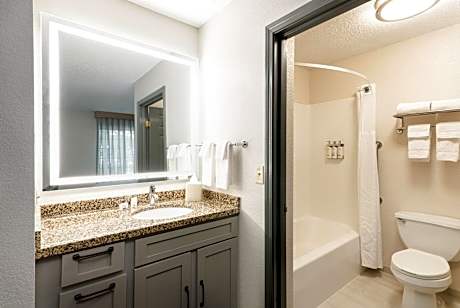 One-Bedroom Queen Suite