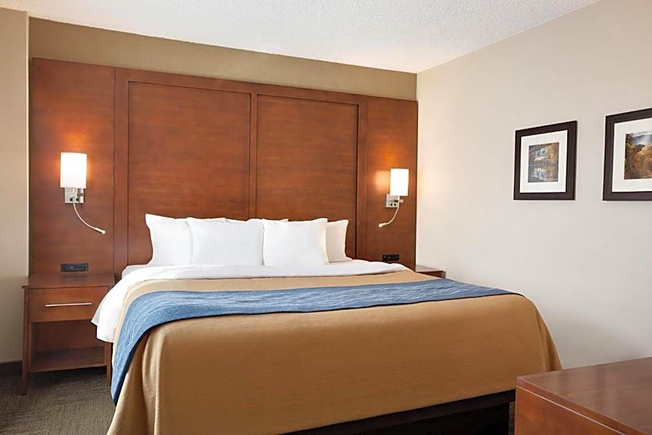 Comfort Inn & Suites Presidential