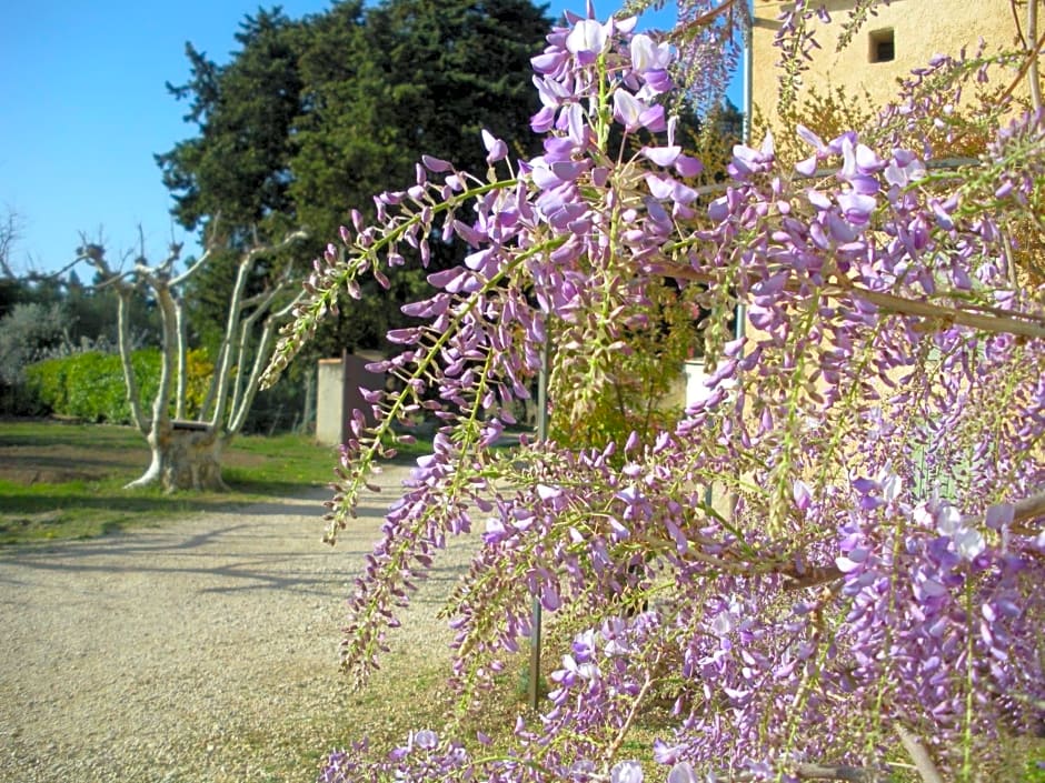 Mas la Vitalis Chambres D'Hôtes