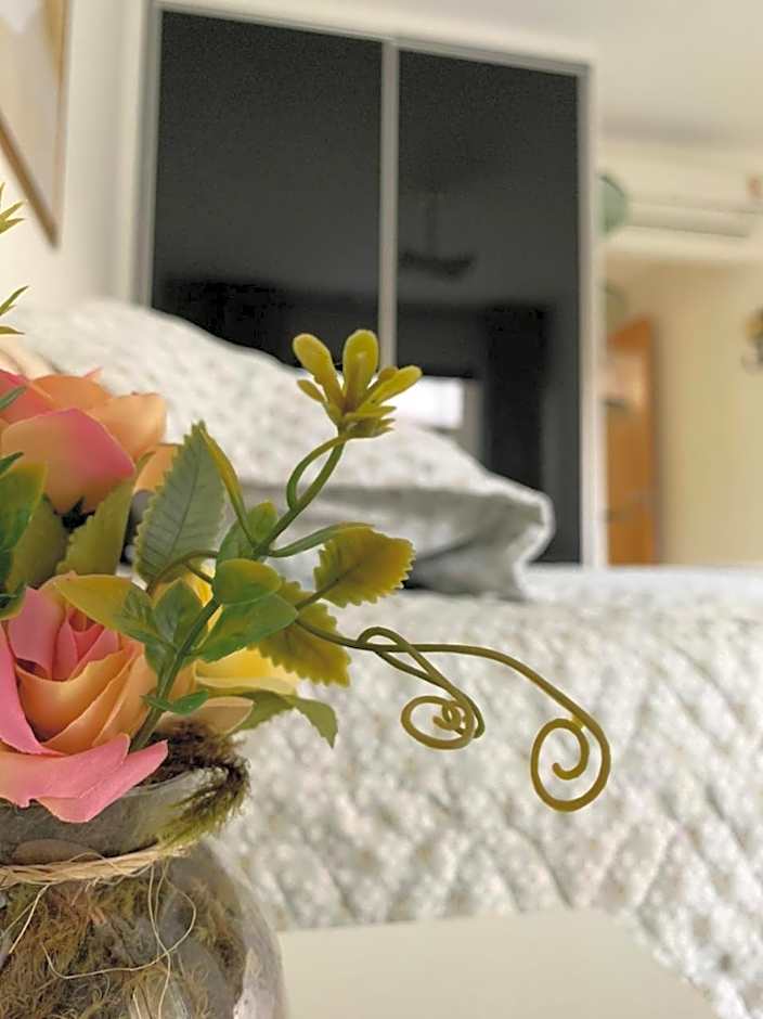 Monte Castelo Gravatá