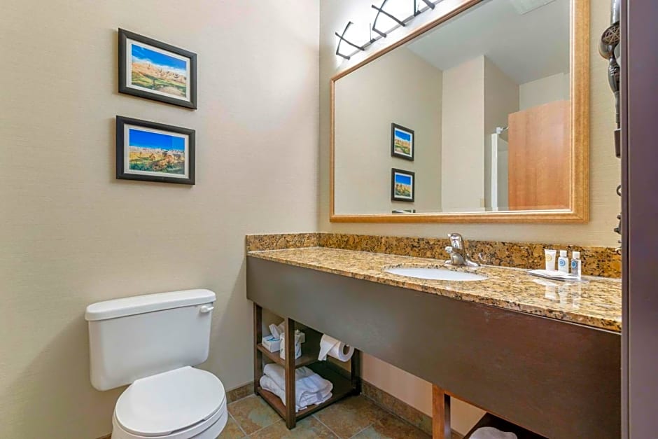 Comfort Inn & Suites Mitchell I-90