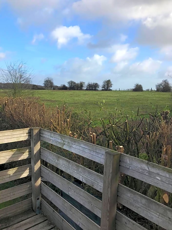 Le chant des oiseaux