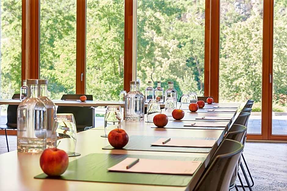 Steigenberger Hotel And Spa Krems