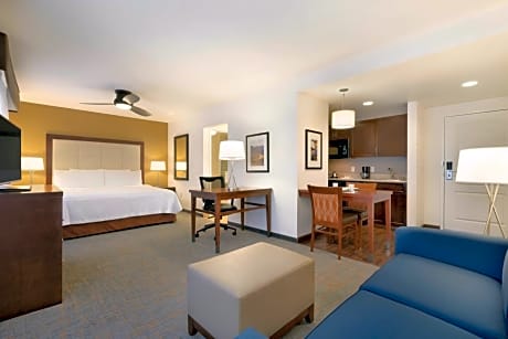 1 King Bed Studio Suite Smoking