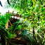 Cocos Cabañas Playa del Carmen Adults Only