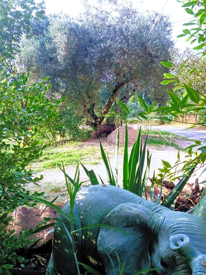 B&b Fabra Casa Mia e non solo