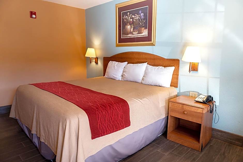 Sky Palace Inn By OYO Anthony KS