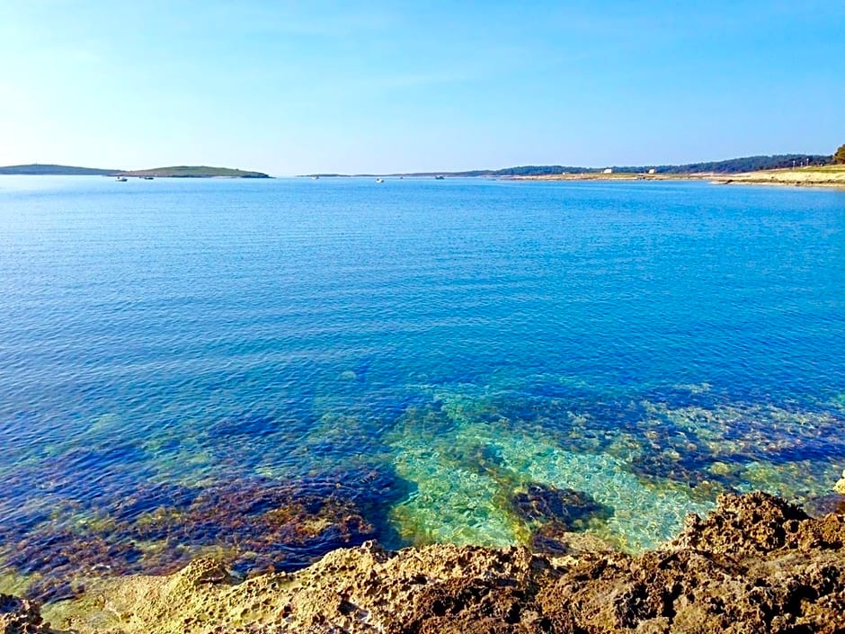 Apartments Salu - adults only