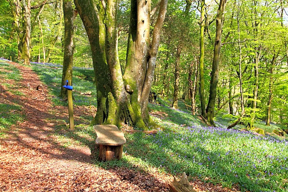 Aberdunant Hall Country Hotel