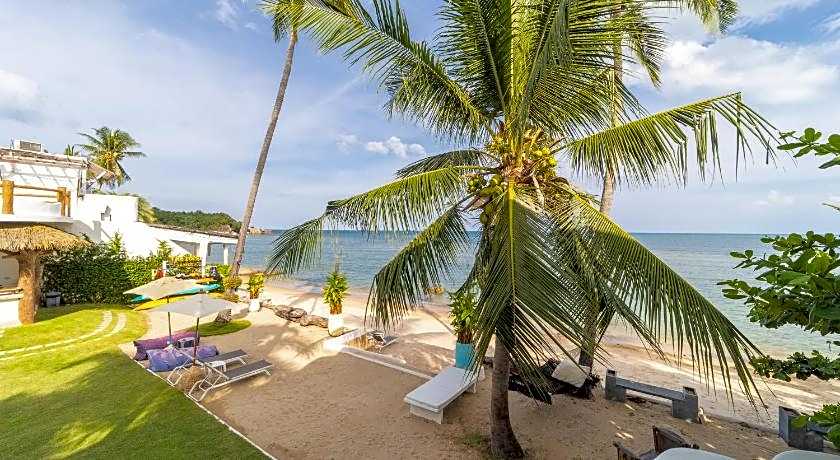 The Rock Samui Poshtel Lamai Beach