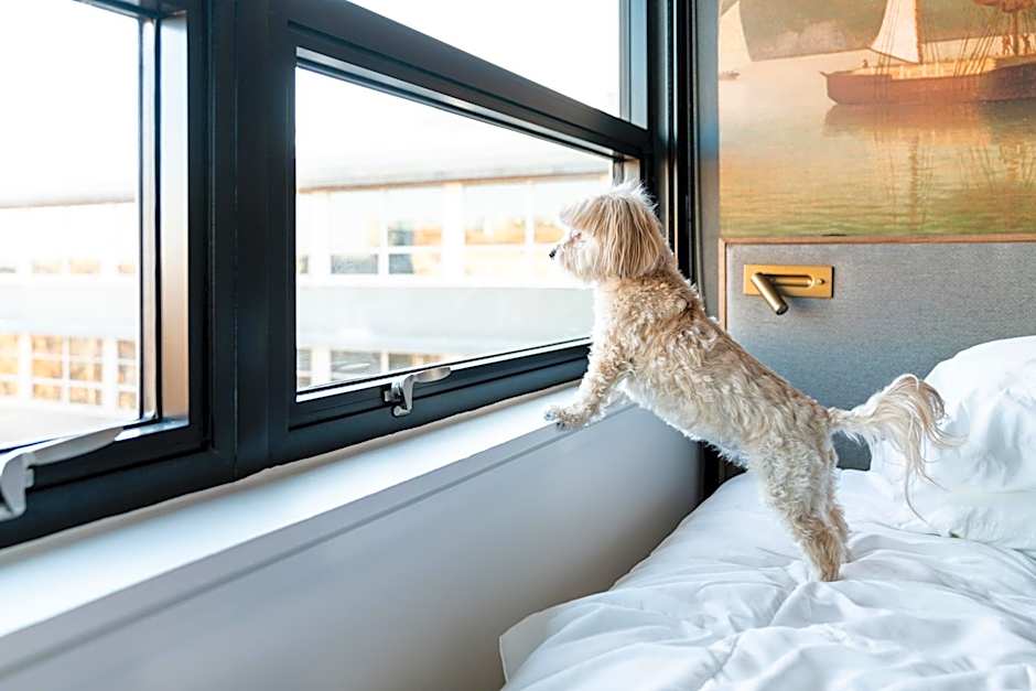 The Revolution Hotel