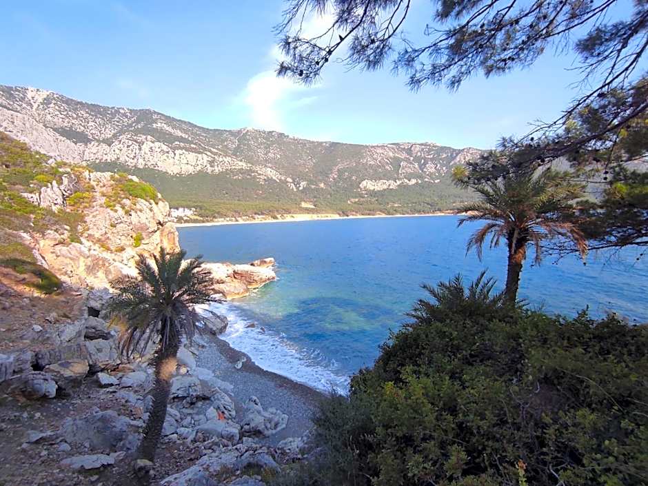 Hurmalik Aparts & Bungalows - Family Bungalows - Large Garden Bungalow with Barbecue