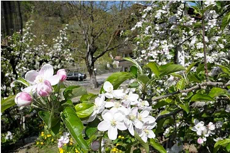 Tannerhof Bed & Breakfast