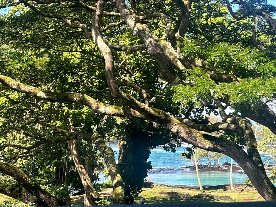 Ocean view Mauna Loa Shores Kai Ekahi #201 next to Carlsmith Beach Park Hilo HI