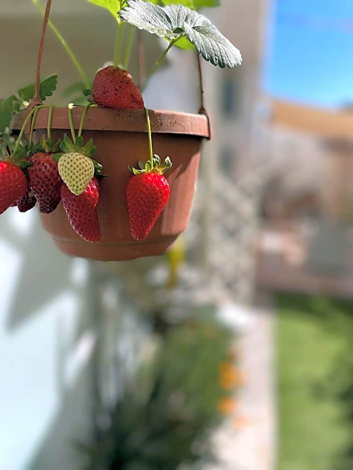 Pompei Duplex Apartment Deluxe