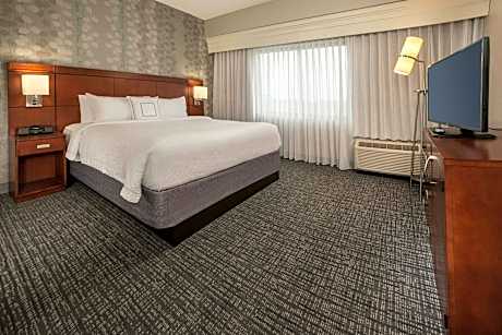 1 Bedroom 2 room Suite, 1 King, Sofa bed