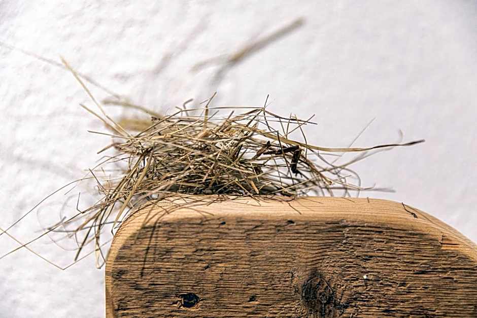 Belvedere Dolomites Flower Hotel