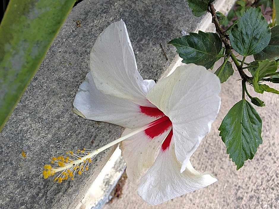 Hôtel A casa di Maria Cicilia