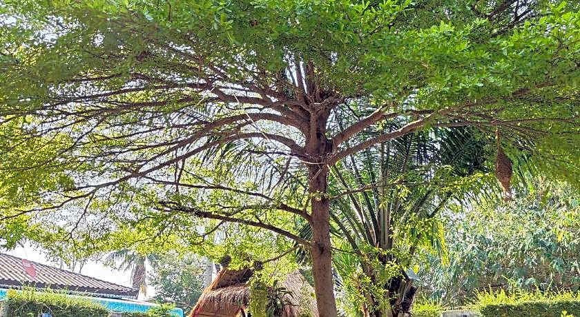 Smilingface Guesthouse