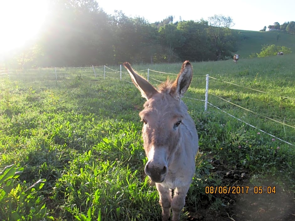 Ötscherblick Fam Winter